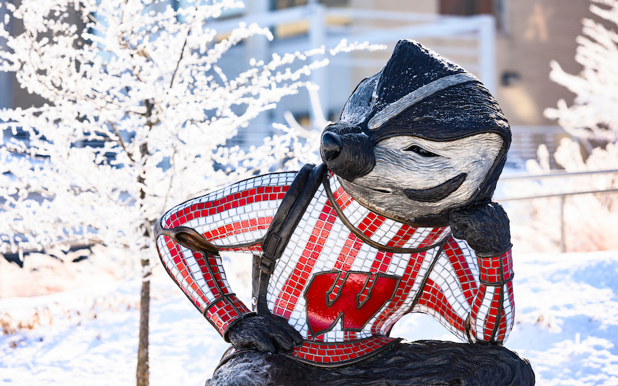 Alumni Park Bucky Badger in Winter Alumni Park Bucky Badger in Winter