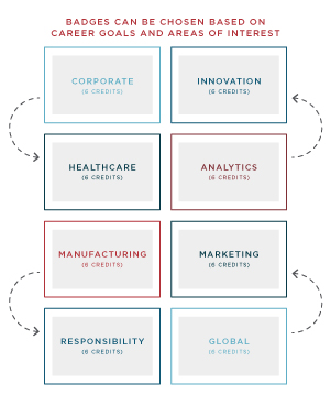A graphic outlining badge options as part of the Wisconsin Professional MBA